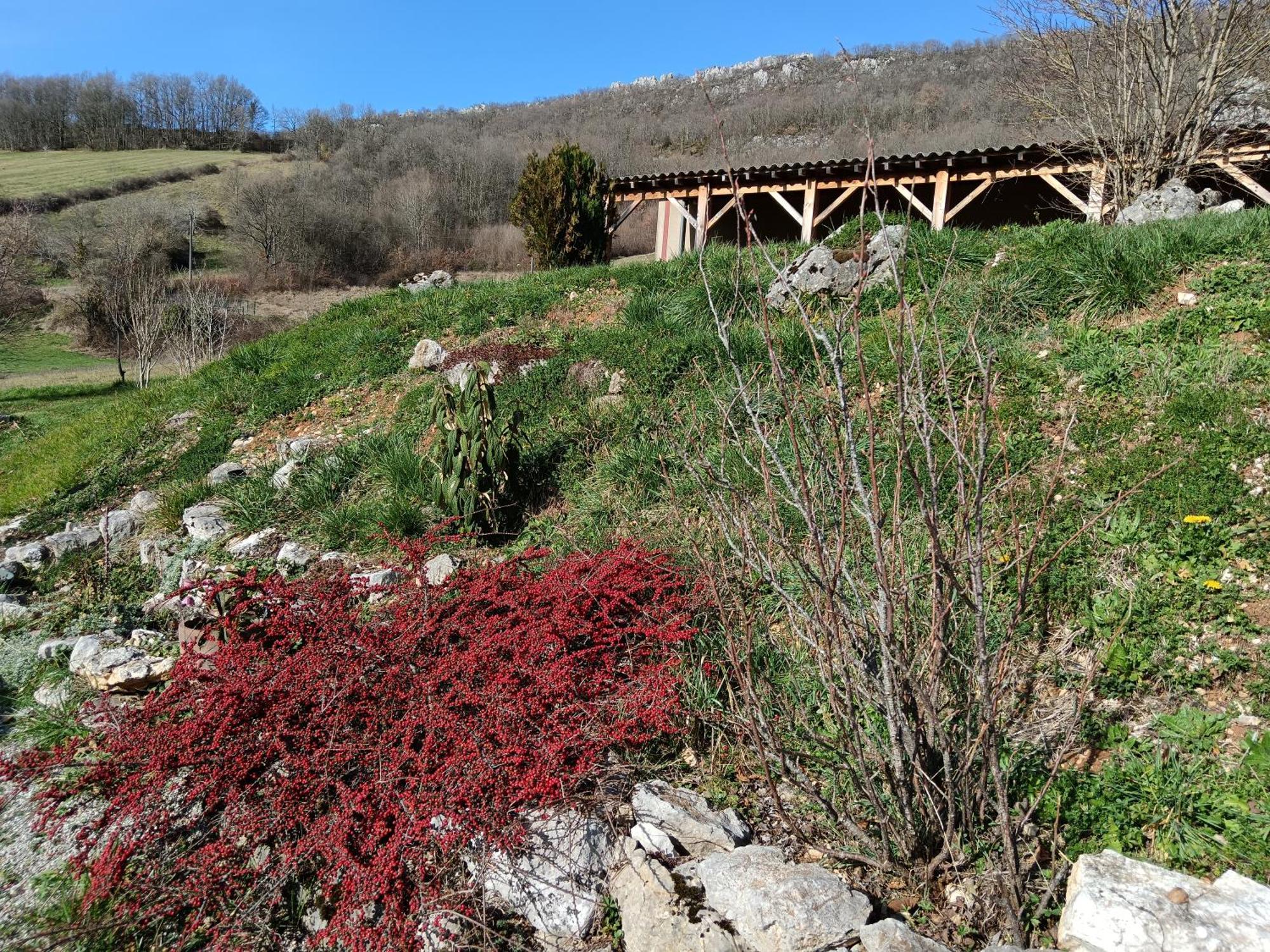 Maison Chaleureuse En Ariege Roquefort-Les-Cascades Eksteriør billede